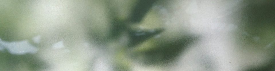 Lavinia Herzog _architecture, landscape and more